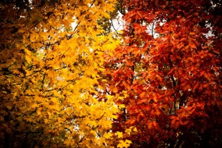 http://foto.fiit.stuba.sk/gallery/show/6/page:2/limit:20/theme_id:6/sort:Photo.votes_value/direction:desc